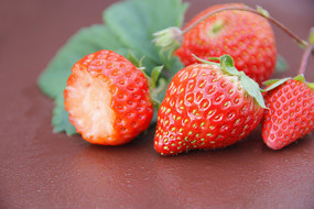 ��ݮ����ͼ