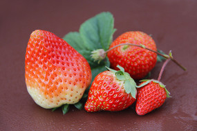 ���ۺ���