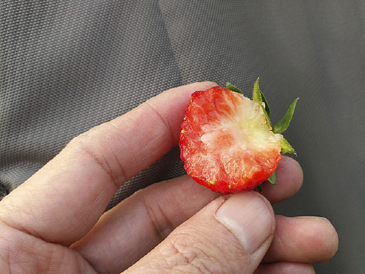 ˮ����ݮ����