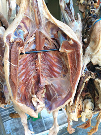 �����̼�Ѽ