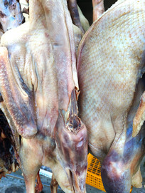 �����̼�Ѽ�ز�