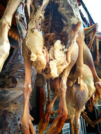 �����̼�ѼͼƬ