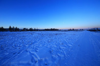 ���˰�����������ѩԭ���