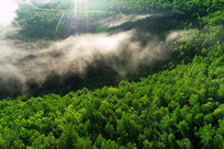 ���˰�����ɫ�ֺ�����