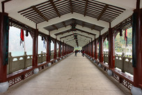 ��ڰ׵۳Ƿ������ŵĹ���