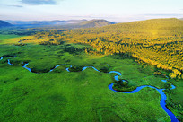 ���ڶ�ʪ�ص������