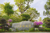 �����������ַ��弰ʯ�� 