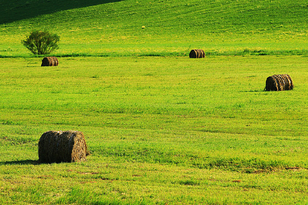 ���ױ�����ԭ���