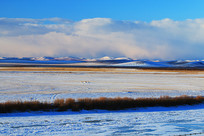 ���ױ�����ԭԭҰѩ��