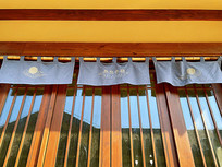 �����Ž�����