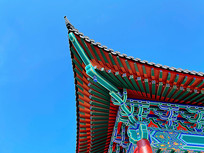 �����Ž�������