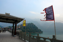 �����ڰ׵۳Ƿ���������������