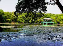 �峺��ˮ�ϵ�����ˮ�