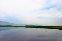 ��ӳ��������ɽ��ƽ������