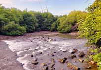 ����ֲ��ïʢ�ĺ�̲