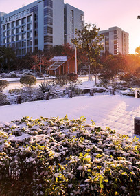 ������������ѩľ�ݺ͹��