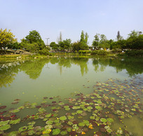 �ɶ���̲��԰����԰��ˮ��