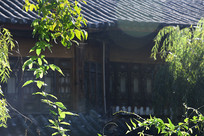 �ų������ֲ