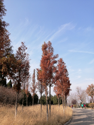 �е������＾