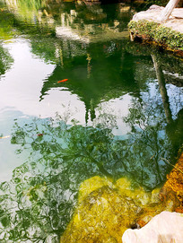 �������Եĳ�ˮ��Ӱ