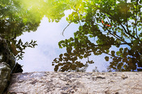 ��ӳ������������ľ�ĳ�ˮ