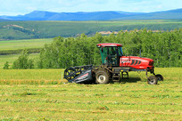 ���ױ���������ɹ����ũ�����