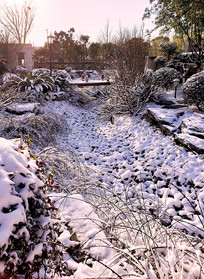 ������ѩ�Ľ�����ˮ��԰