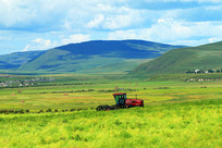 ���ɹź��ױ���������԰���