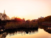 �峺�羵��«έ������