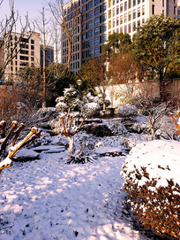 д��¥�°�ѩ���ǵ�С��԰