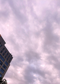 д��¥��׳���Ʋ�