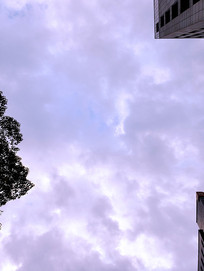 д��¥�ϵ��Ʋ�