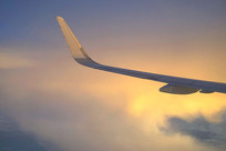 �������Ʋ���ϼ����