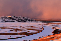 ���ױ���ѩԭ����ĺɫ