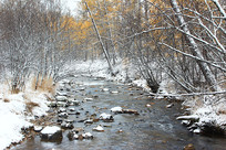 ���˰���ɭ�ֺ���ѩ