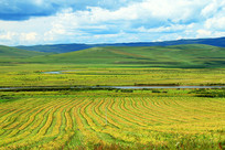 ���ױ�����Ұũ��