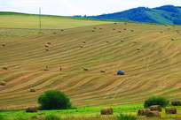 ����ũ��羰