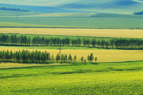 ������԰���