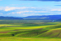 ��ɫ��������Ұ