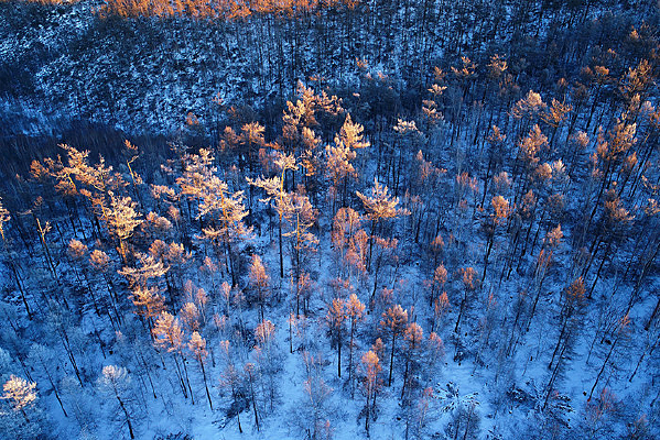 ���˰��붬����������ڡ