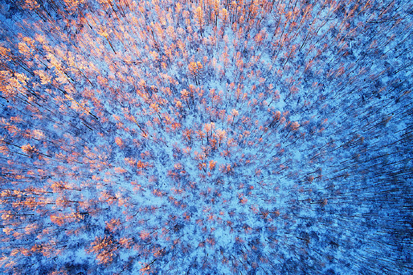 ���Ĵ��˰��붬��������Ϧ��