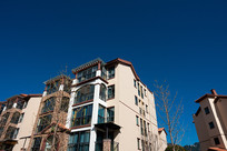 ������ɽĦ���봿�����콨��