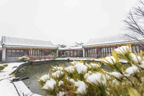 �����ĺ�Ժ