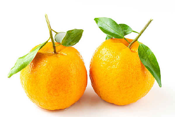 �ױ����ėո�