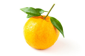 ױϵһո