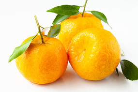 ױϵėո