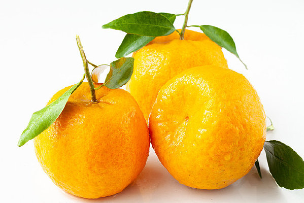 �ױ����ϵėո�