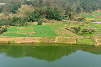 �ɶ���Ȫɽɽ������ũ�Ҳ˵�  