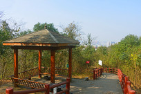 �ɶ���Ȫɽ�Ӽ�ɽ������ͤ