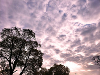 �����Ϸ���׳������